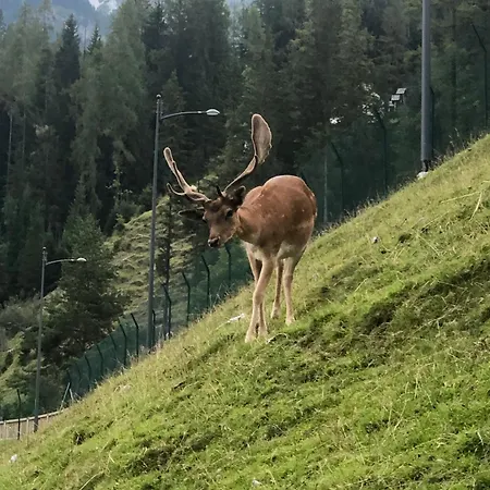 Mountain House Rigolato